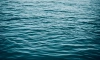 На озере вблизи Озерков утонула девочка, отдыхавшая на пляже с родителями