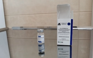 В Петербурге начали на дому вакцинировать маломобильных граждан