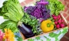 Цены на овощи в Ленобласти рухнули в конце лета