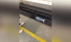 Мужчина лежал между рельсами на станции метро "Пионерская"