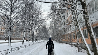 В Петербурге 21 ноября местами пройдёт небольшой снег