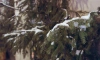 В Ленобласти 30 декабря пройдет небольшой снег