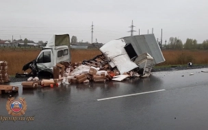 В Красноярском крае возбудили уголовное дело после гибели пяти человек в ДТП