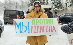 В Ломоносовском районе прошел митинг против  полигона