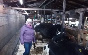 Руководитель АПК Выборгского района Надежда Литвиненко посетила ферму в Каменногорске