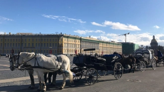 Стала известна праздничная программа на Дворцовой площади в День ВМФ