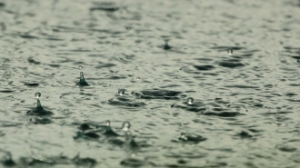В четверг в Ленобласти пройдут кратковременные дожди