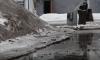 МЧС предупреждает о снегопаде и плюсовых температурах в Петербурге и области