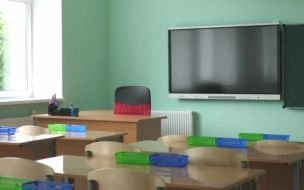 Названы районы Петербурга с повышенной наполняемостью школ и детских садов