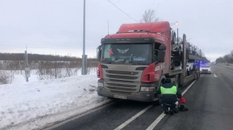 В Тосненском районе пьяный водитель автовоза убегал от стреляющего полицейского