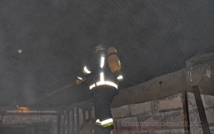 В производственном здании в Адмиралтейском районе три часа тушили пожар