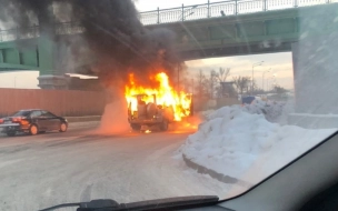 C начала года в Петербурге сгорели более 450 машин