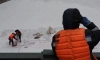Лёд Фонтанки в Петербурге очистили от краски
