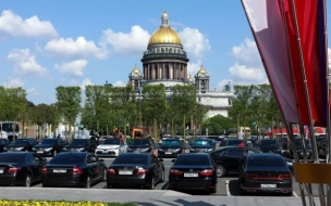 Прокуратура и СК обратили внимание на сад с деревьями в кадках у Мариинского дворца