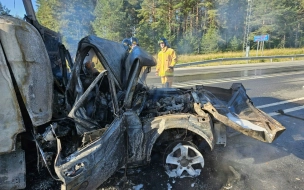 В Приозерском районе Ленобласти на трассе "Сортавала" произошло смертельное ДТП