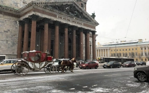 В Петербурге 24 января температурный фон уверенно преодолеет нулевую отметку