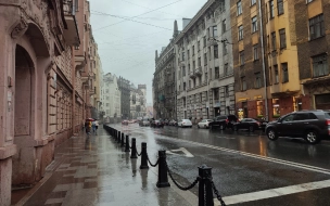 МЧС: после двух часов в Петербурге местами ожидаются грозы, ливни, град, усиление ветра до 17 м/с