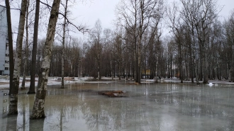 Тёплая погода в Петербурге сохранится в течение предстоящих суток