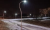 На севере Петербурга начались работы по освещению второй очереди Муринского парка