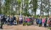 Выборгский район присоединился ко Всероссийскому дню посадки леса