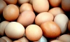 Куриные яйца в Петербурге начали дешеветь