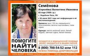 В Ленобласти шестые сутки разыскивают 83-летнюю пенсионерку