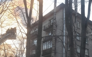 В квартирном пожаре на Орбели погиб человек