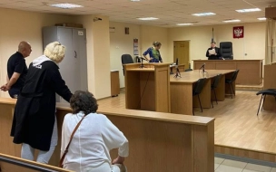 Водитель социального такси, избивший пенсионерку-инвалида в Петербурге, получил условный срок