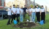 Петербургские активисты высадили более 2 тыс. деревьев и кустарников в рамках акции "Сад памяти"
