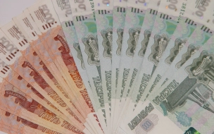 В Мурино задержали мошенника, который украл у работодателя миллионы