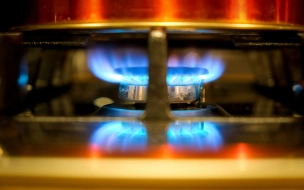 "Газпром" упрекнули в стремлении продавать газ по максимальной цене