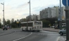 Власти Петербурга предложили бесплатно возить льготников на пригородных автобусах
