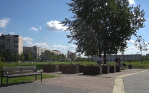 На полив цветов в Петербурге потратили 35 тыс. кубометров воды с начала июня