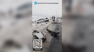 В результате ДТП в Шушарах погибли двое