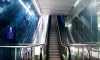 Оба вестибюля станции метро "Зенит" будут открыты до конца января