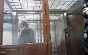 В Петербурге началось судебное заседание по апелляции историка Олега Соколова