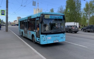 Петербург получит еще 207 лазурных автобуса