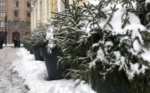 В Петербурге 16 января ожидается снег