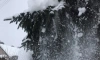 В Ленобласти 23 декабря будет идти мокрый снег