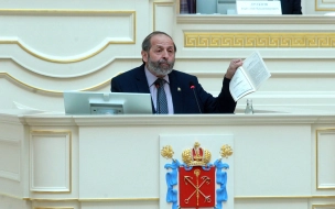 Депутат Вишневский прокомментировал включение Малиновки в список ЗНОП