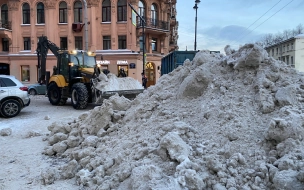 Депутат петербургского ЗакСа предложил ввести штрафы для УК за неубранный снег