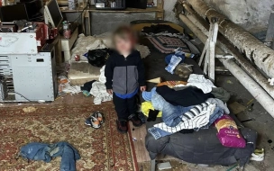 О детях, обнаруженных в подвале дома по Московскому шоссе, доложат Бастрыкину