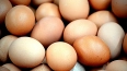 В Ленобласти Ленобласти объяснили рост цен на яйца ...