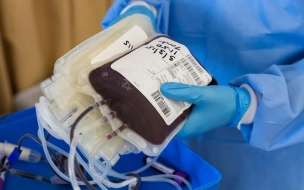 За субботу в Петербурге собрали 175 литров донорской крови 