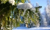 В Ленобласти 25 января ожидается +4 градуса