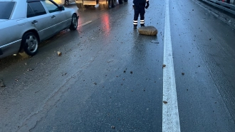 На КАД у Вантового моста из грузовика высыпались булыжники