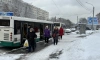 В Петербурге транспорт 8 марта будет работать по графику воскресенья