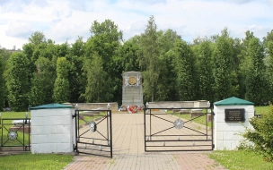 В Петербурге приведут в порядок воинское кладбище "Дачное"