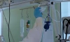 За сутки в "ковидные" больницы Петербурга поступило менее 200 человек