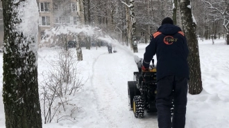 В Смольном хотят создать госструктуру для уборки внутриквартальных территорий